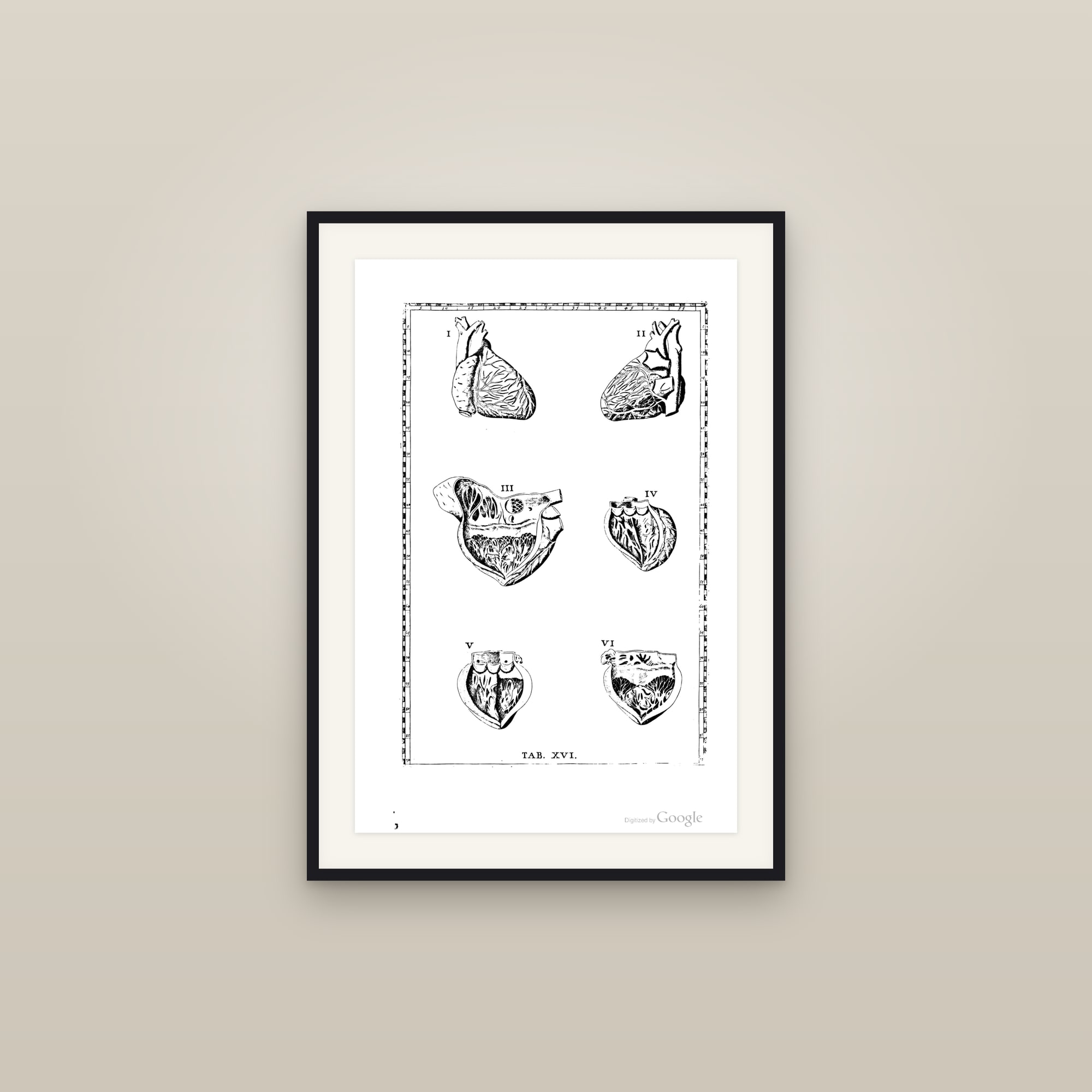 The Human Heart (six anatomical views)
