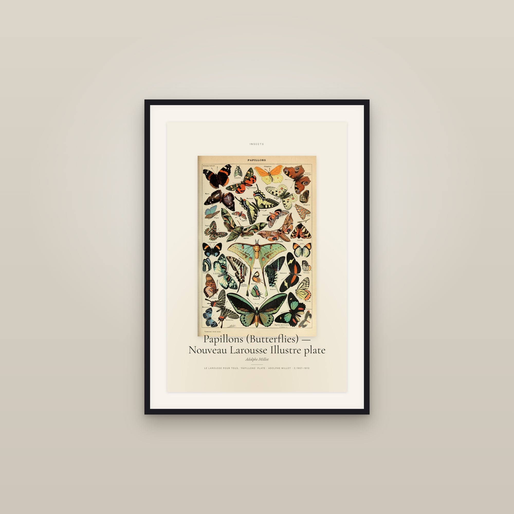 Papillons (Butterflies) — Nouveau Larousse Illustre plate — Specimen