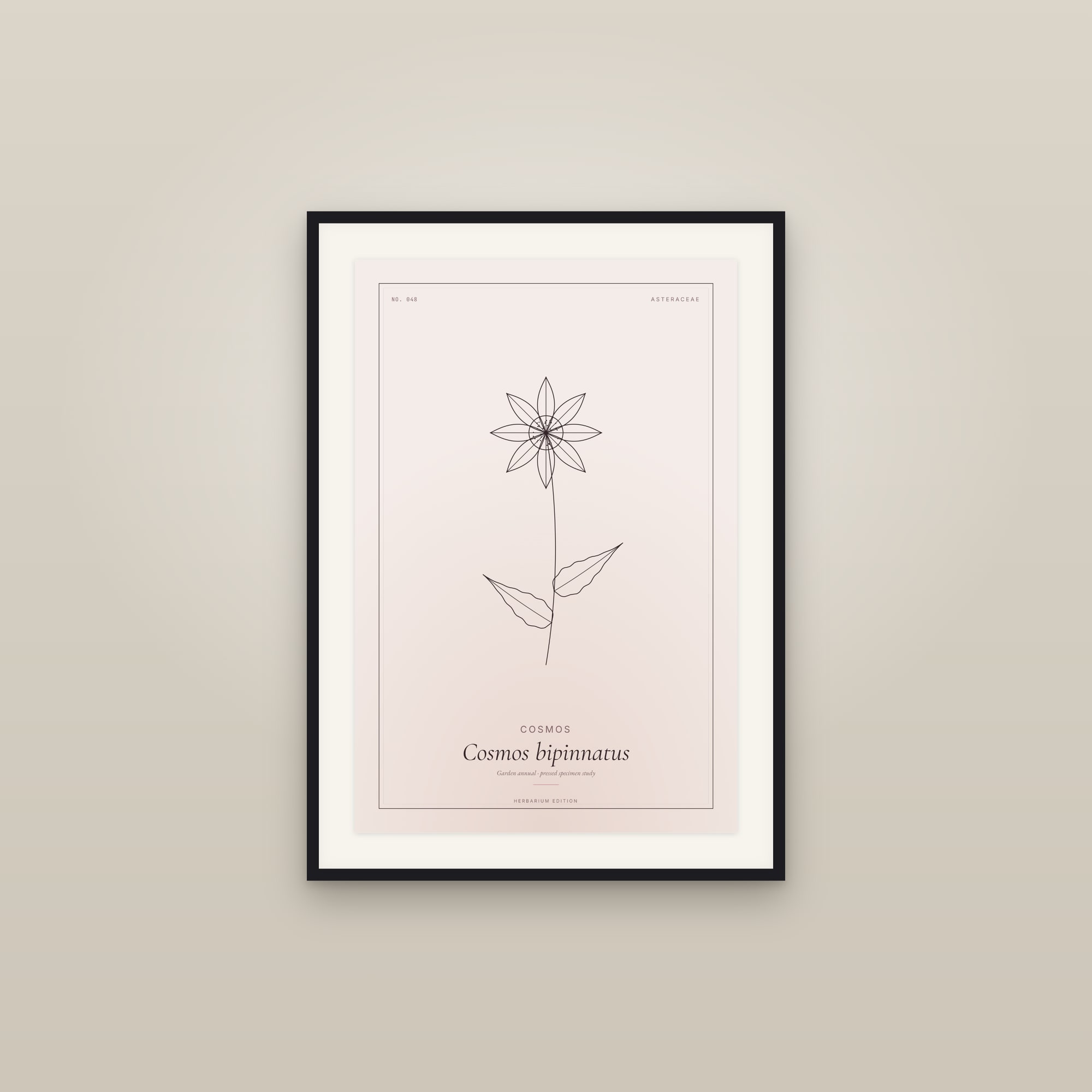 Cosmos — Botanical Specimen