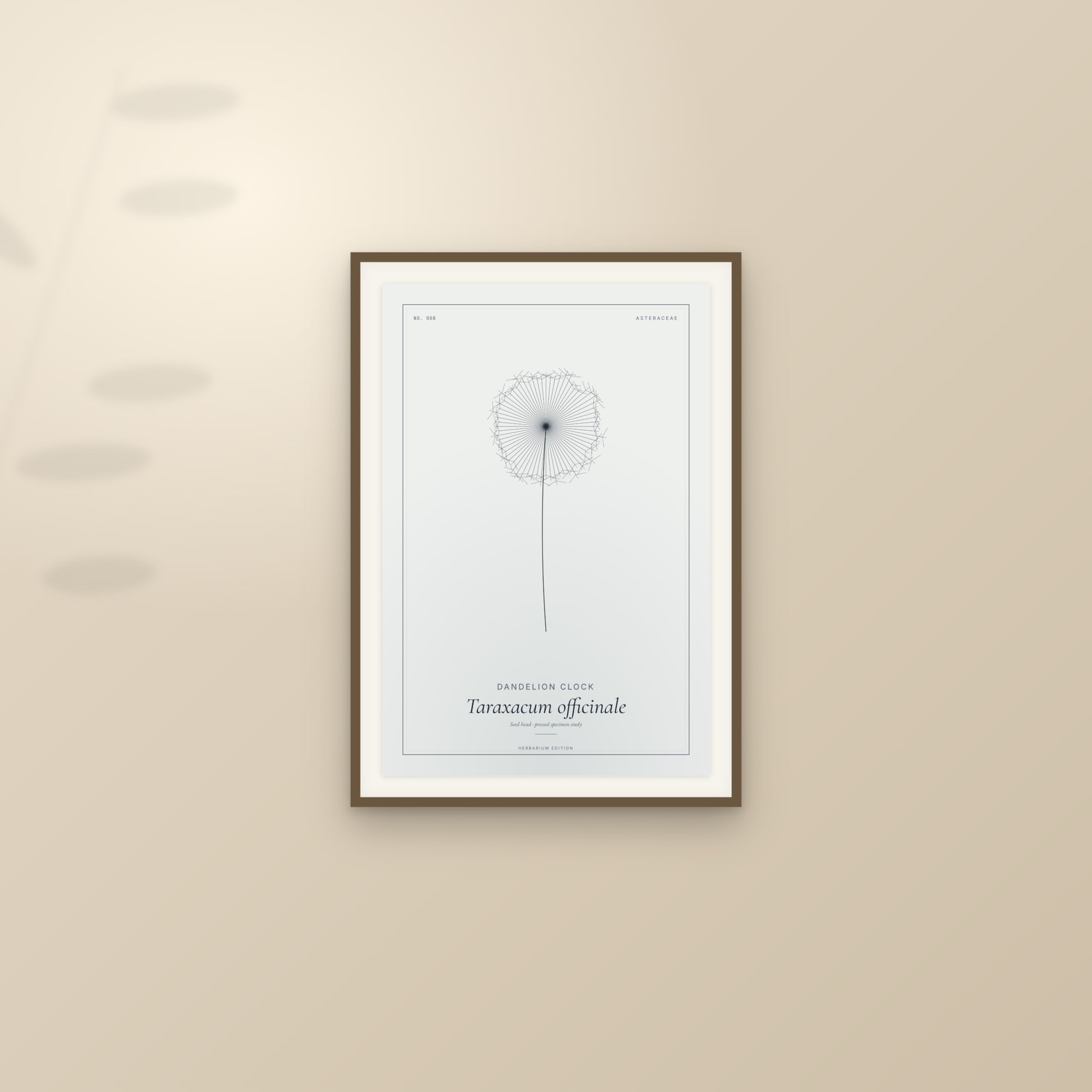 Framed botanical print, styled on a wall