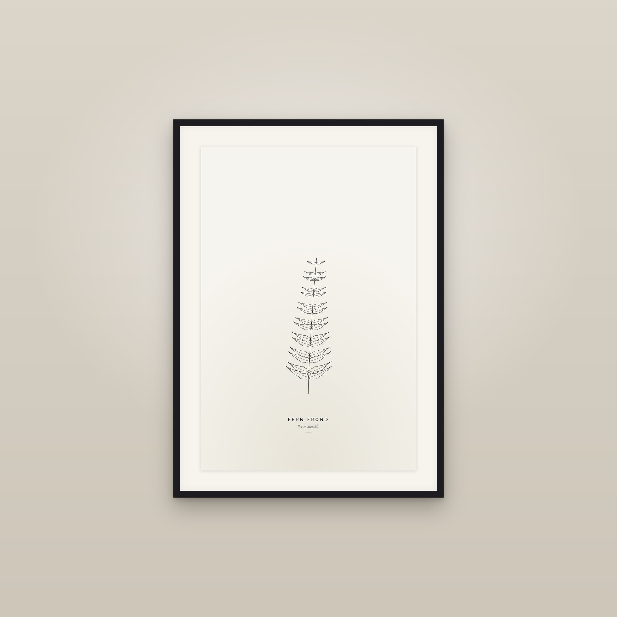 Fern Frond — Line Study