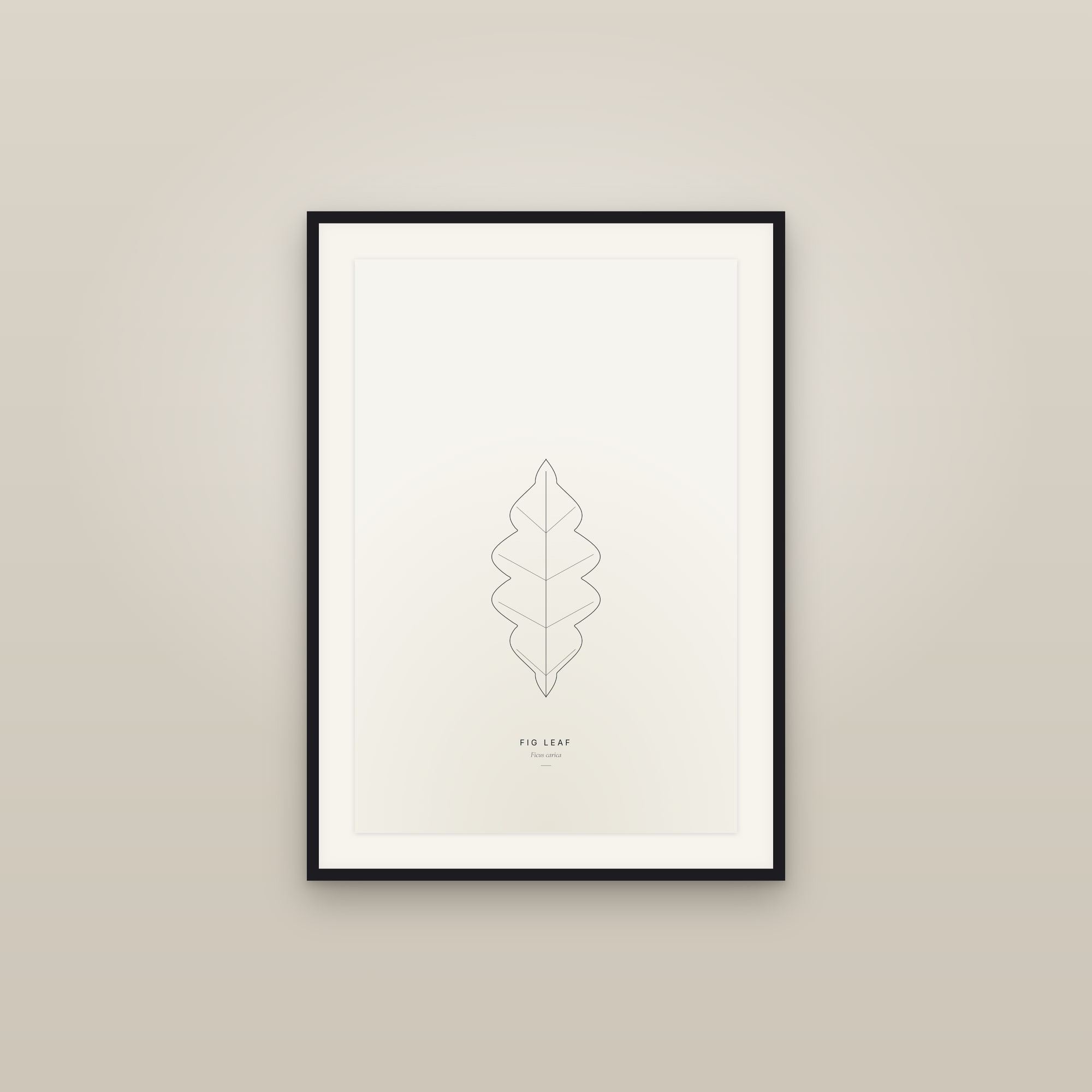 Fig Leaf — Line Study