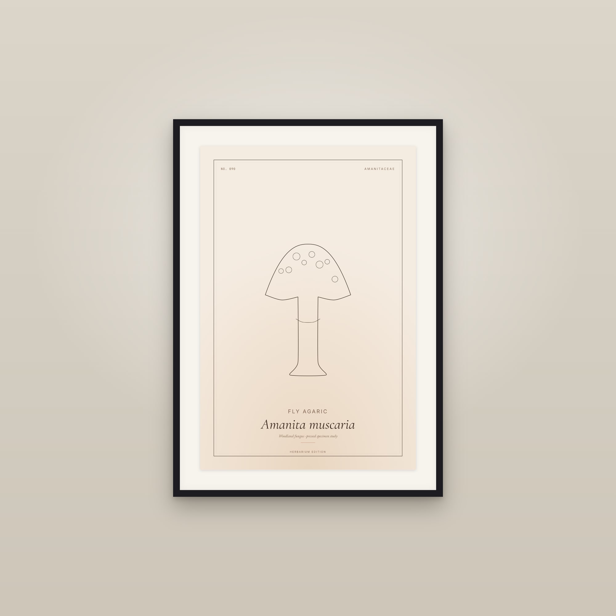 Fly Agaric — Botanical Specimen