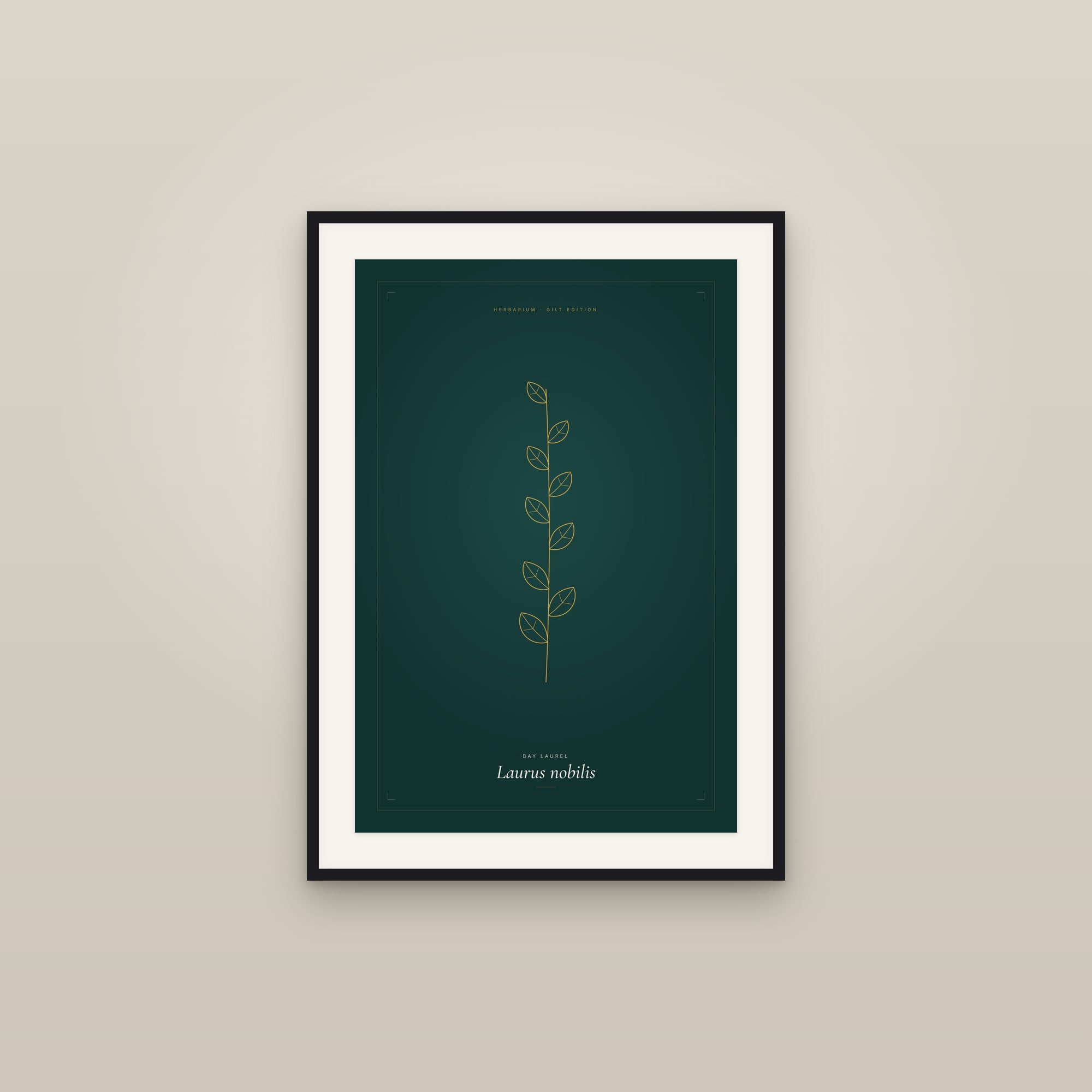 Bay Laurel — Gilt Botanical
