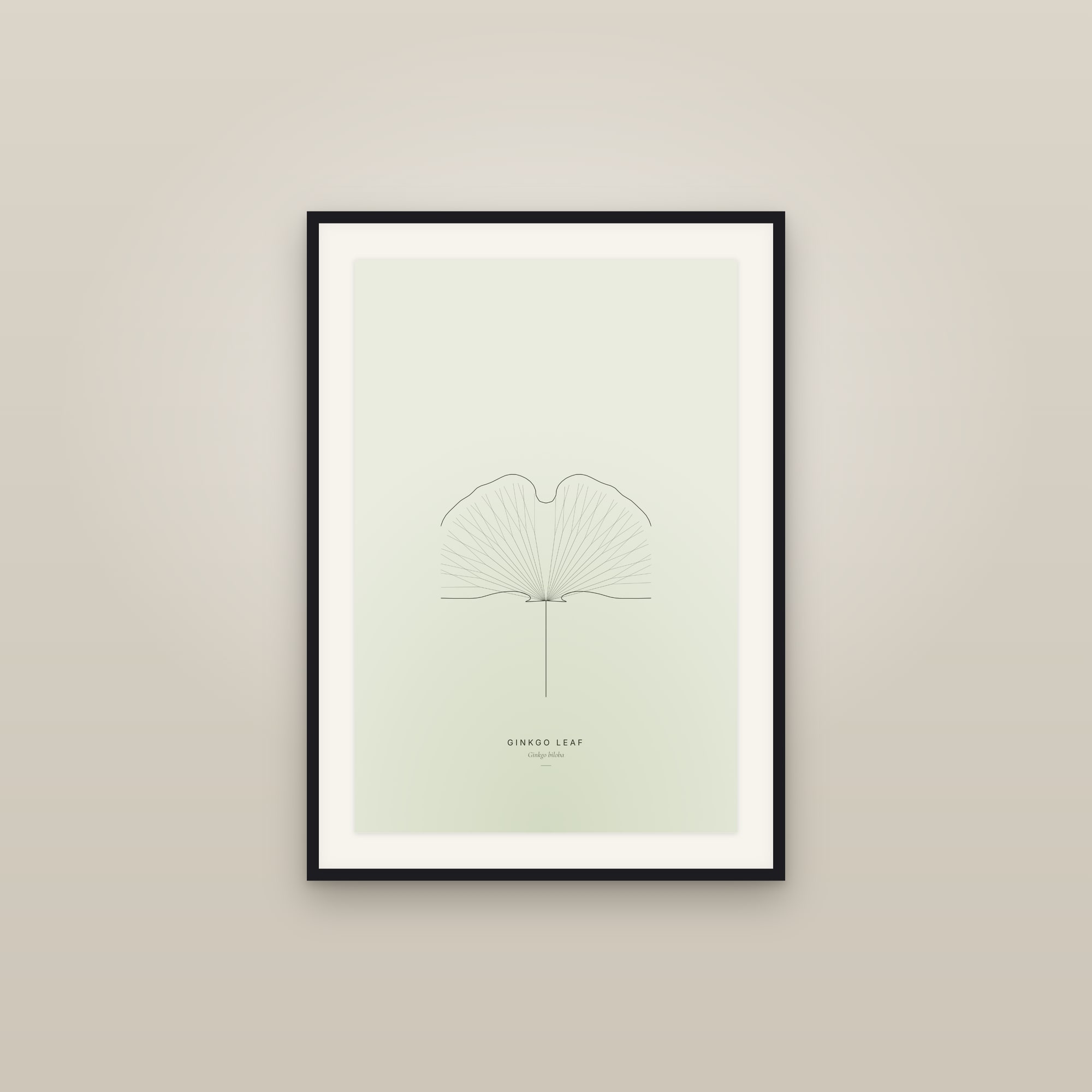 Ginkgo Leaf — Line Study
