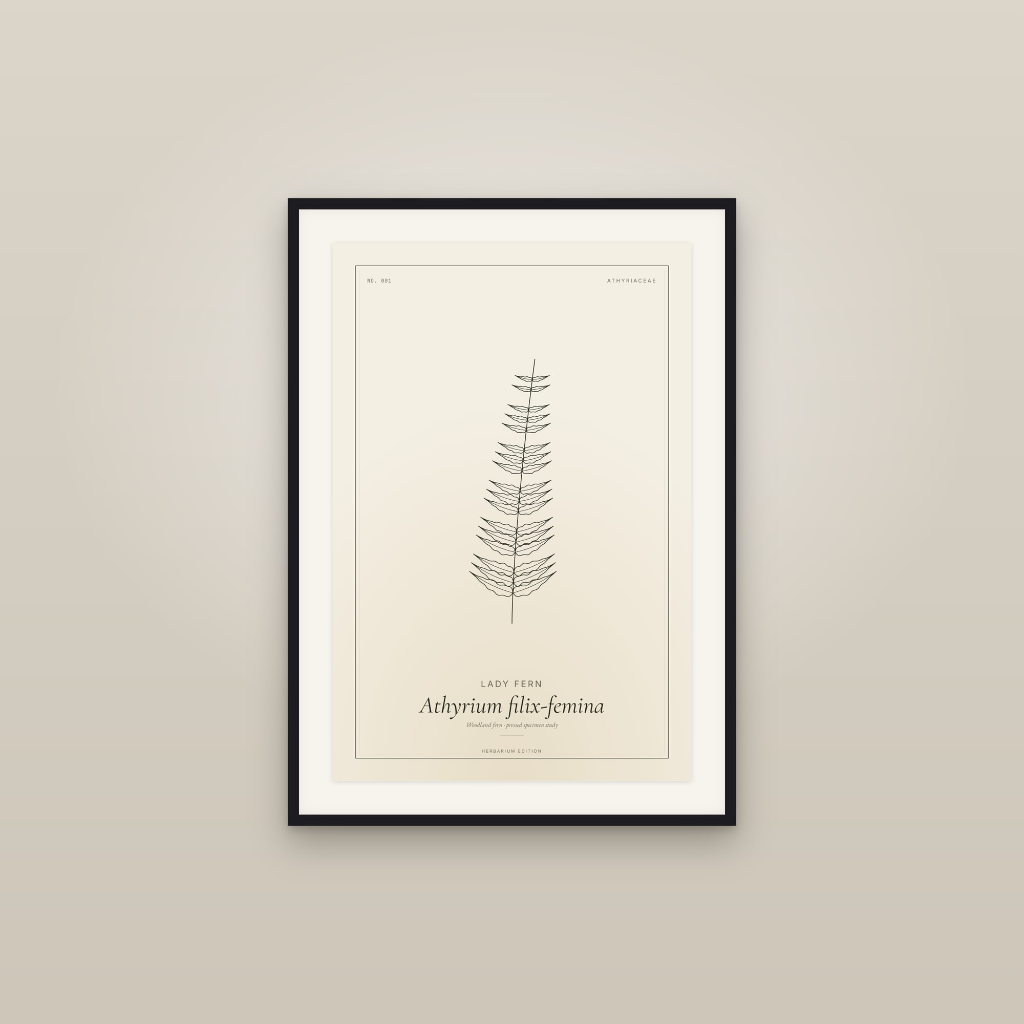 Framed lady fern specimen print