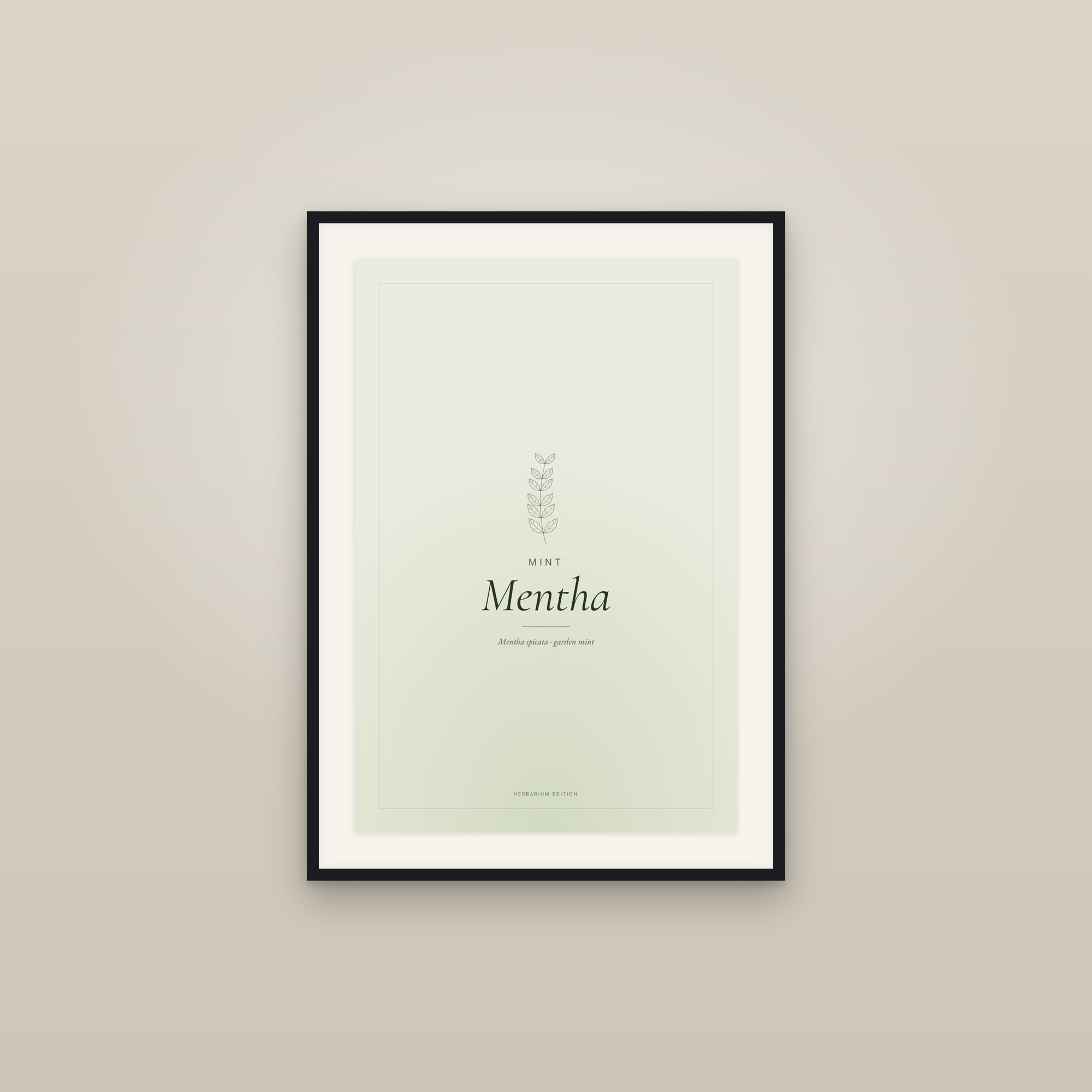 Mentha — Typographic Botanical