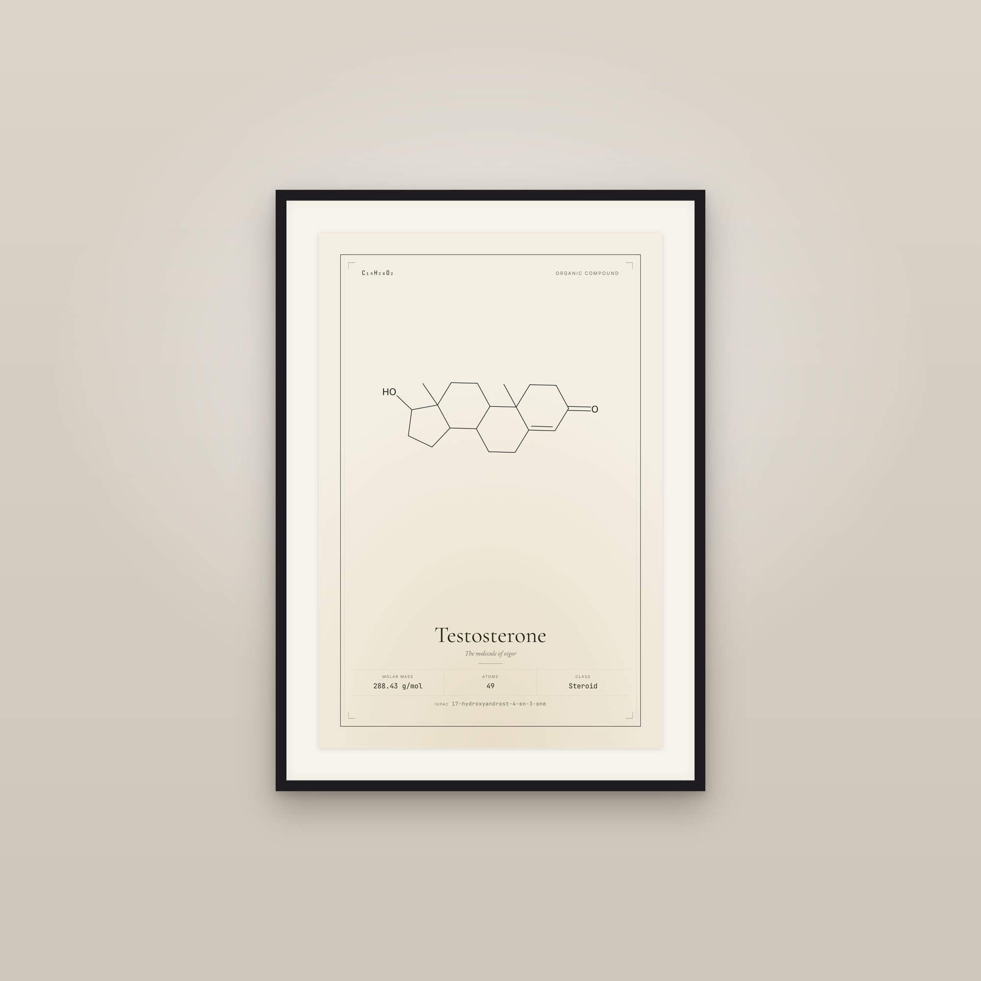 Testosterone — Molecular Structure