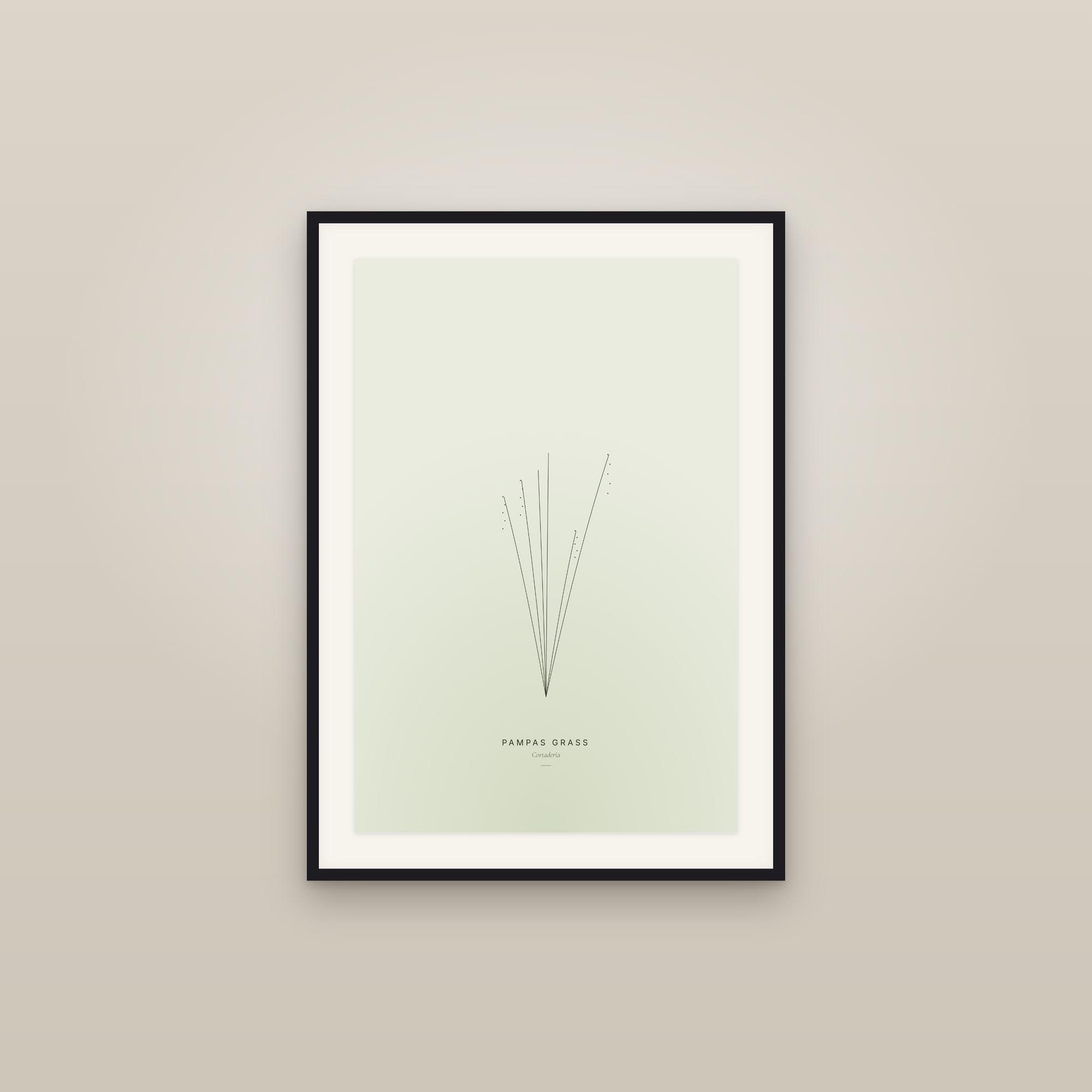 Pampas Grass — Line Study