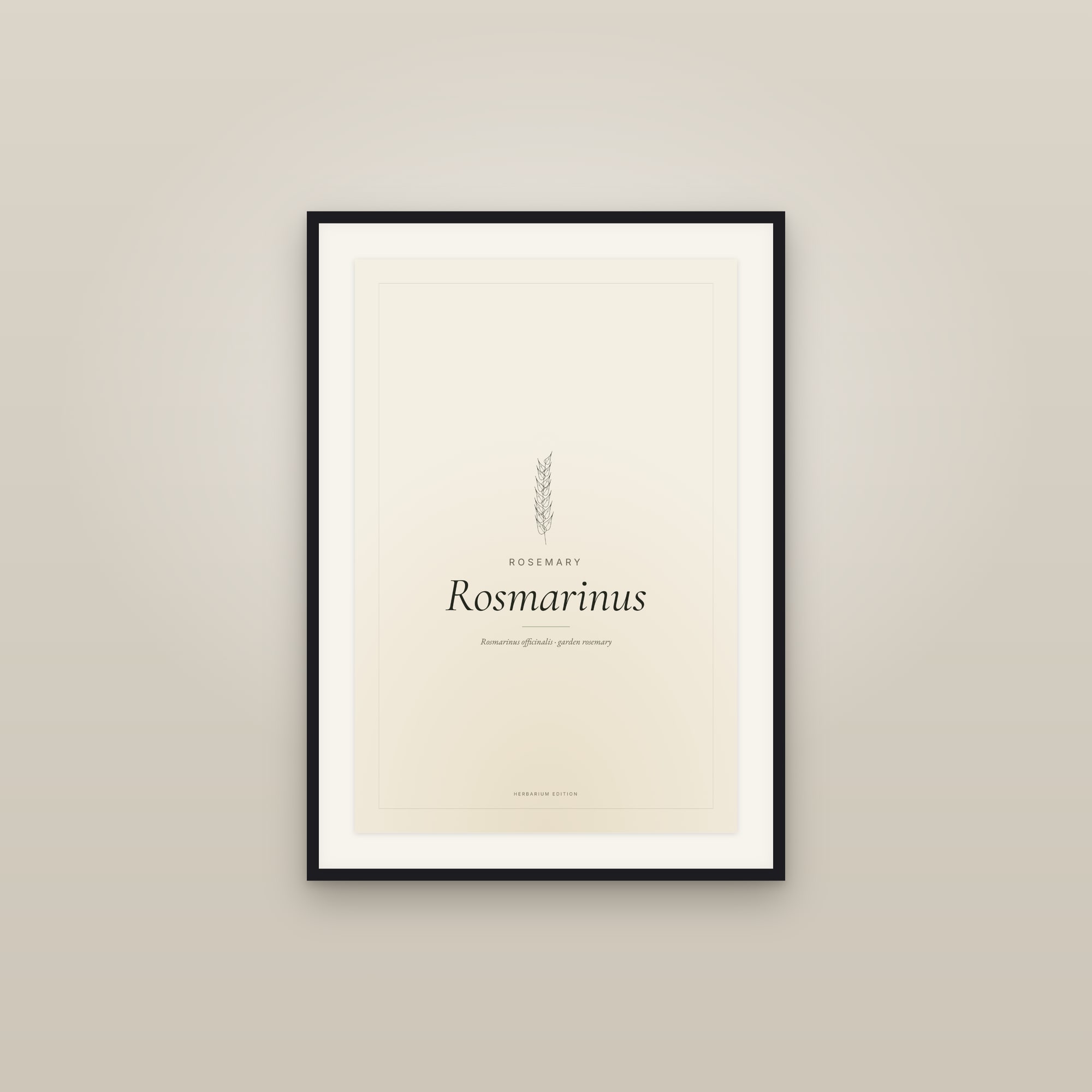 Rosmarinus — Typographic Botanical