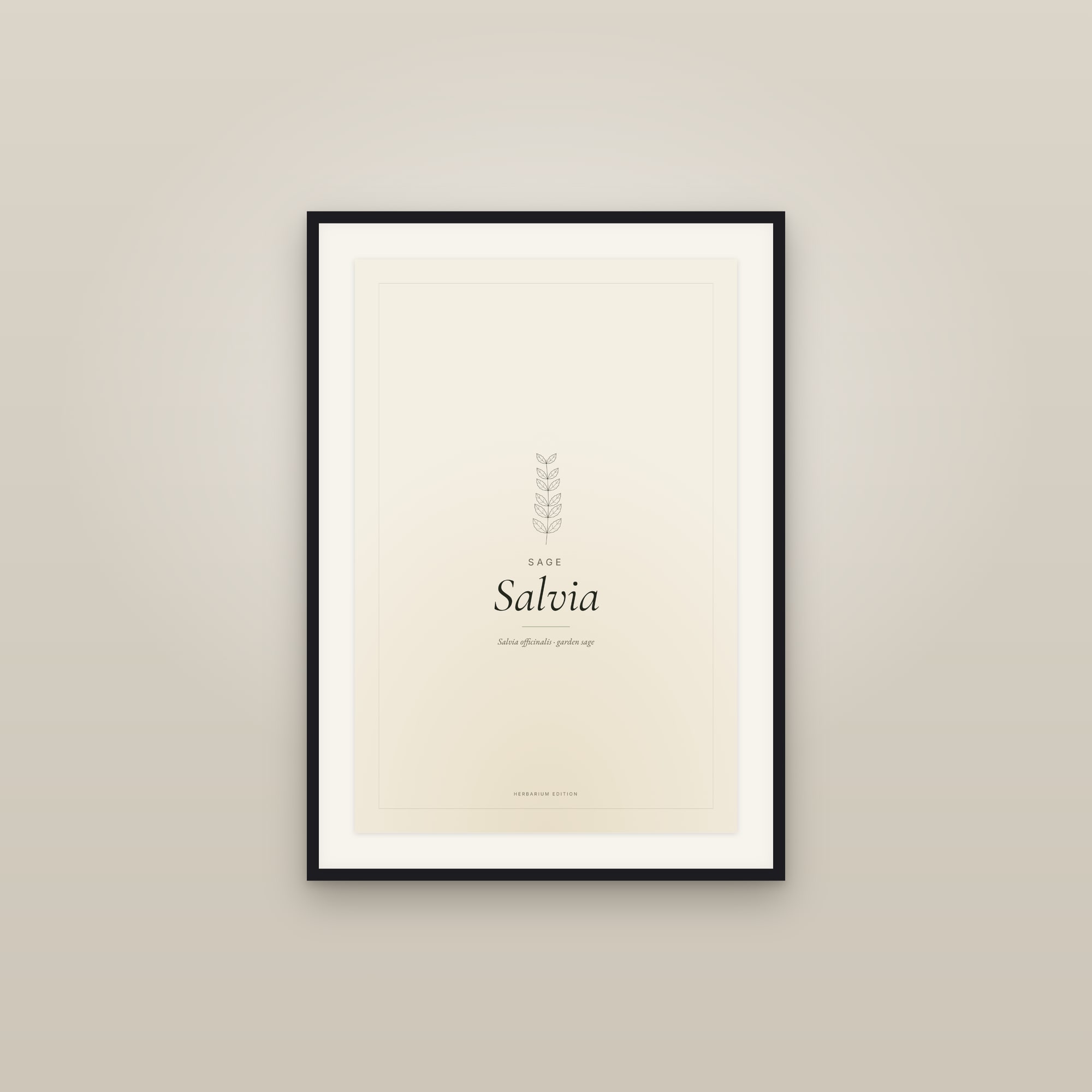 Salvia — Typographic Botanical