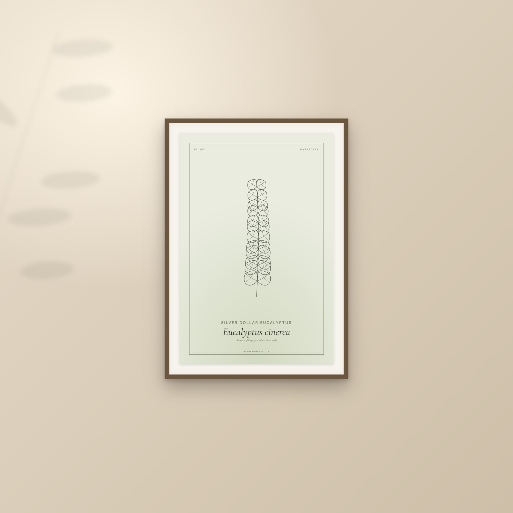 Framed botanical print on a sunlit wall