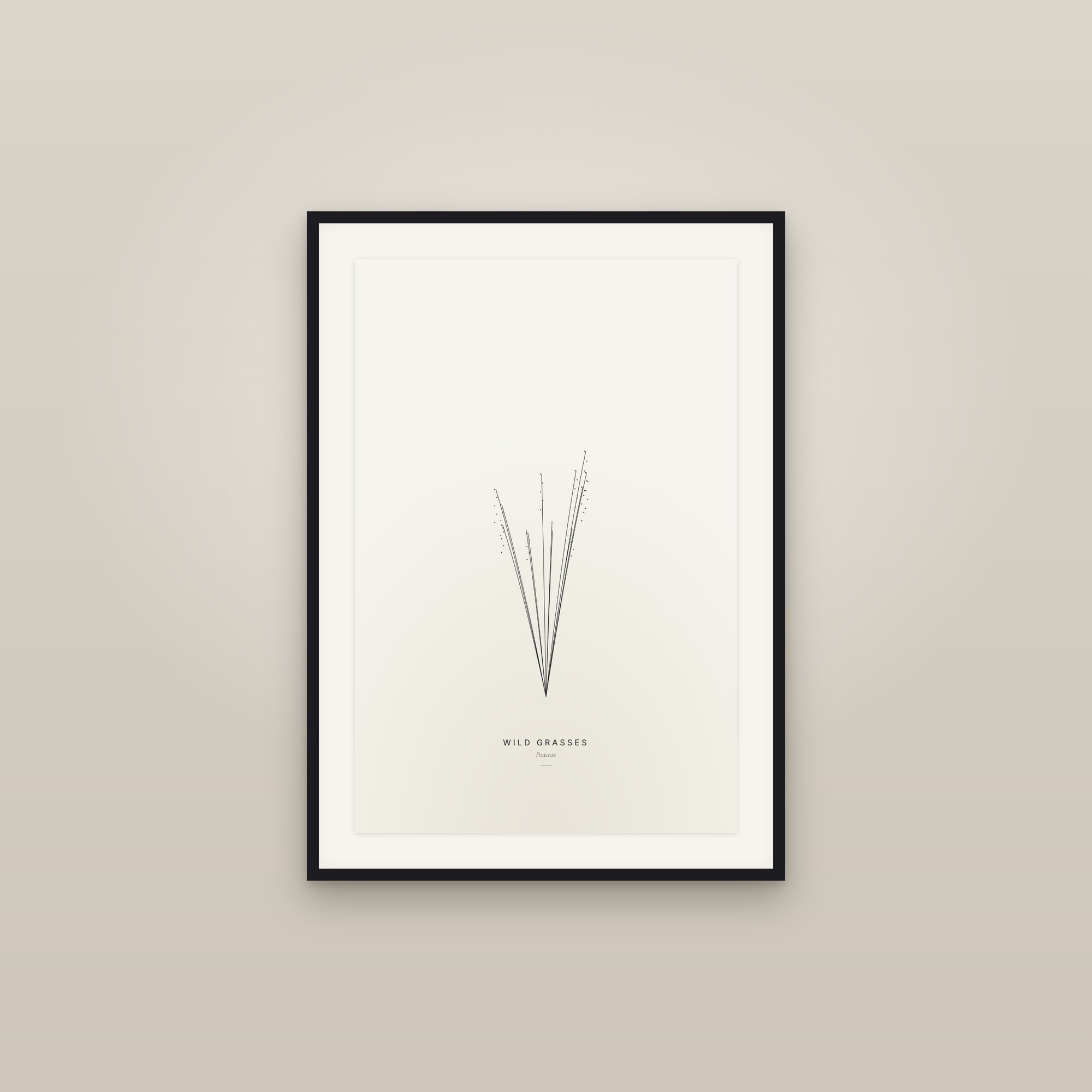 Wild Grasses — Line Study